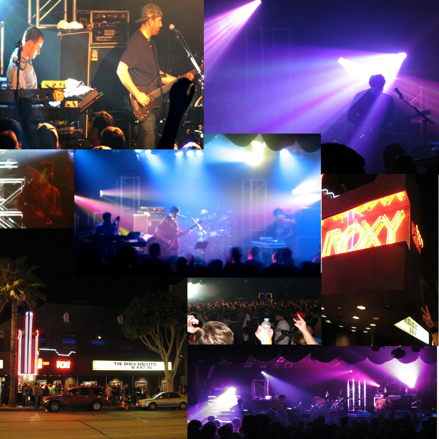 Disco Biscuits in L.A. | photos by Allison Hall