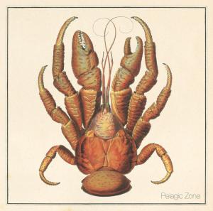 Pelagic Zone