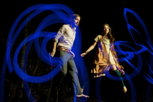 Bowerbirds