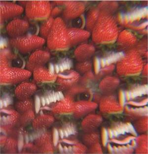 Thee Oh Sees: Floating Coffin