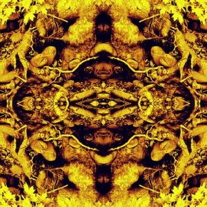 Neal Casal: Mountains of the Moon