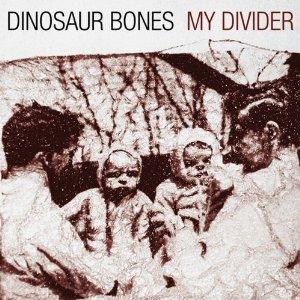 Dinosaur Bones: My Divider