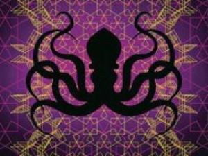 Octopus Nebula @ Boulder Theater - 3/30/12