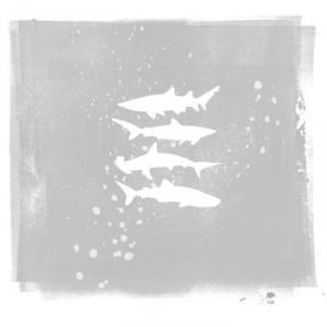 My Brightest Diamond’s Shark Remixes