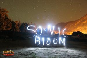 Sonic Bloom Festival