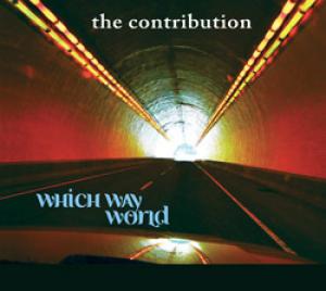 The Contribution: Which Way World