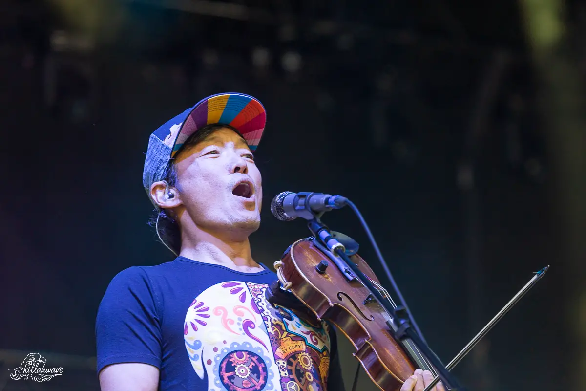 Multi-instrumentalist Michael Kang | String Cheese Incident