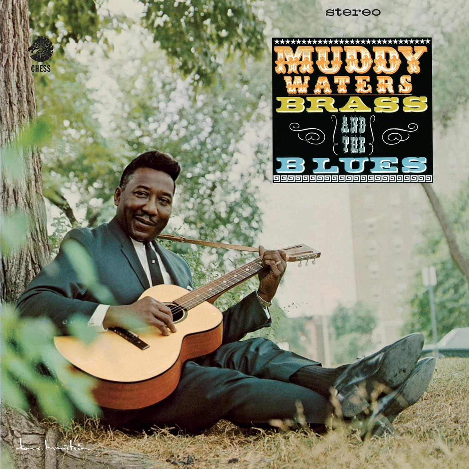 Muddy Waters: The Electric Soul of the Blue