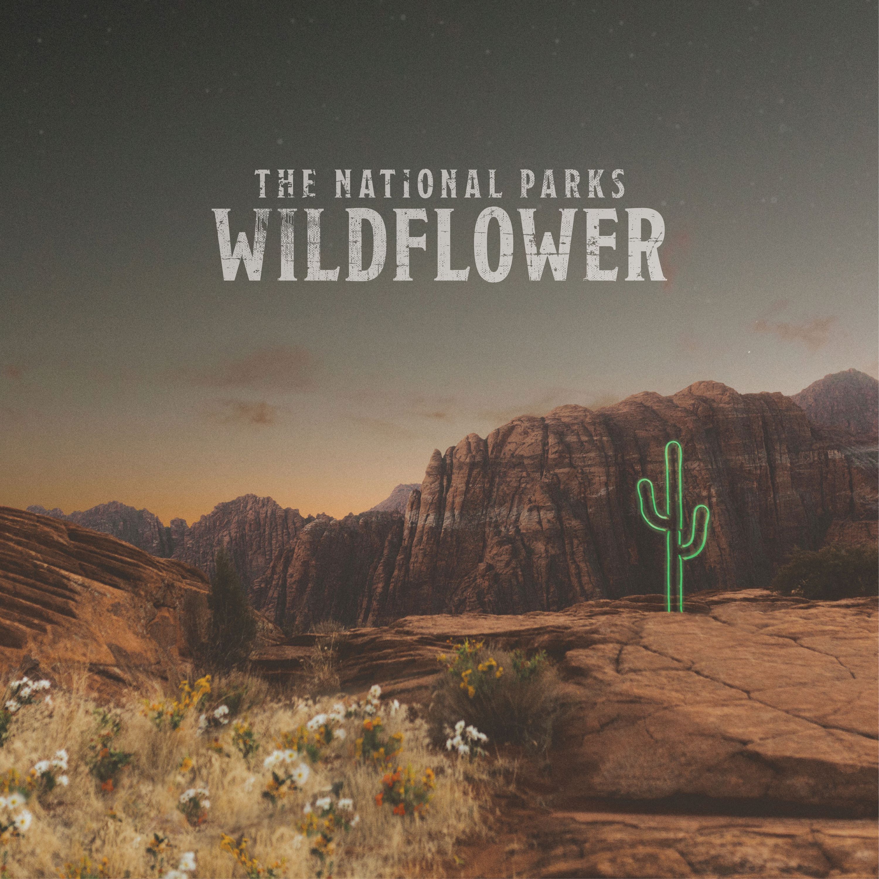 Wildflower | National Parks