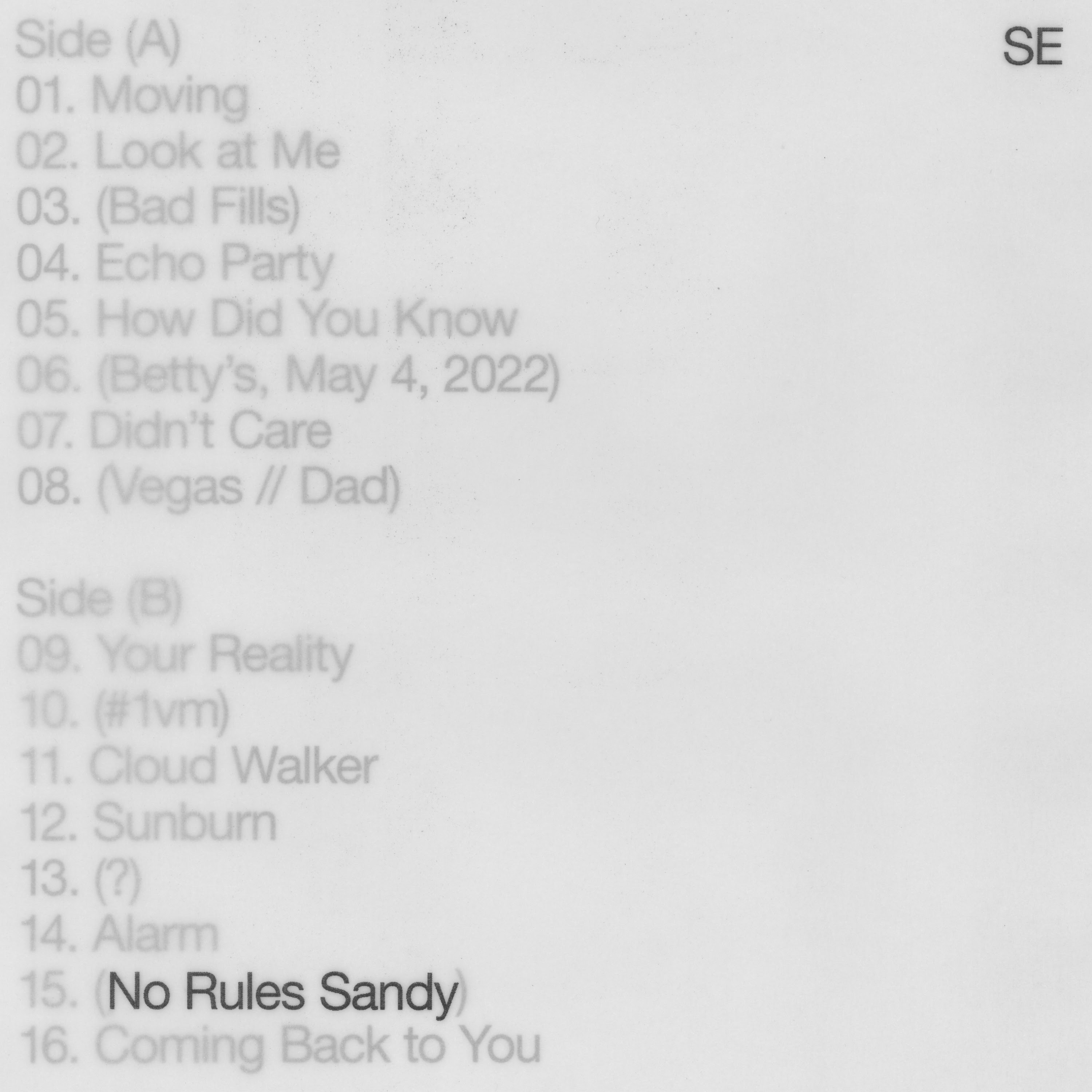 No Rules Sandy Cover Art