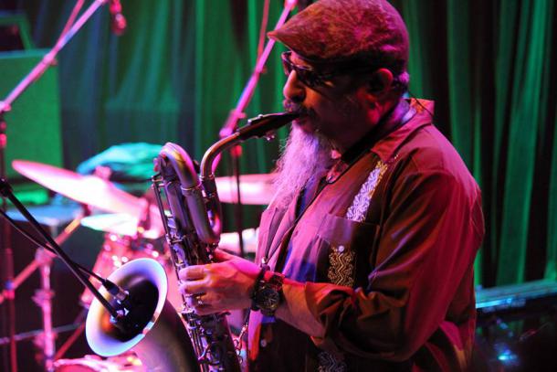 Steve Berlin - Los Lobos | photos by Dylan Muhlberg