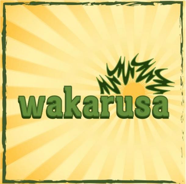 Wakarusa 2014 is coming in June