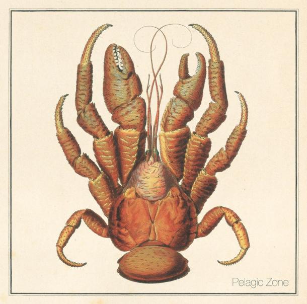 Pelagic Zone