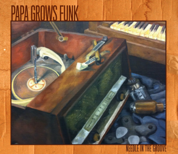 Papa Grows Funk: Needle In The Groove