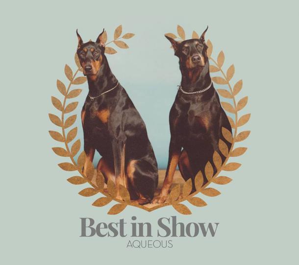 Aqueous: Best In Show