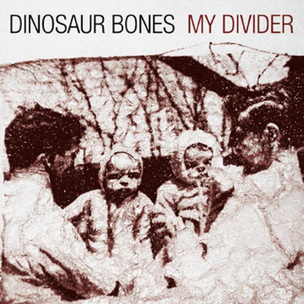 Dinosaur Bones: My Divider