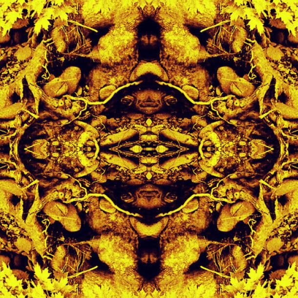 Neal Casal: Mountains of the Moon