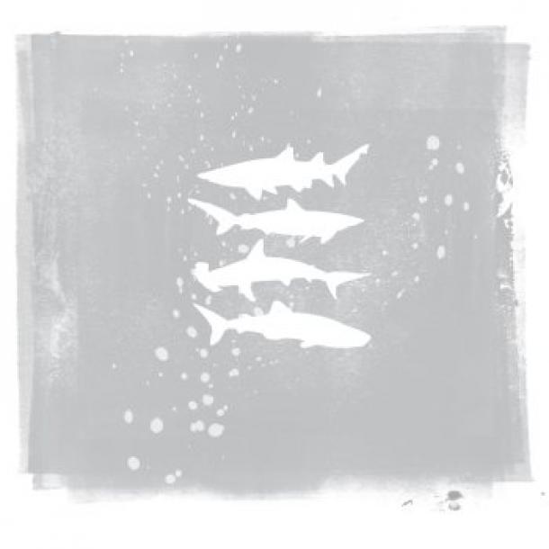 My Brightest Diamond’s Shark Remixes