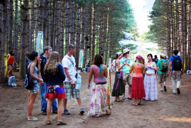 Sherwood Forest | Rothbury Festival