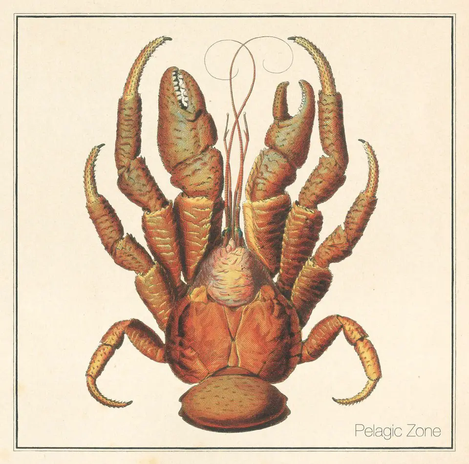 Pelagic Zone | New Music Review