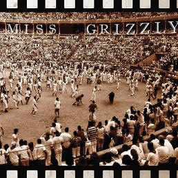 Miss Grizzly | 'Miss Grizzly' | New Music Review