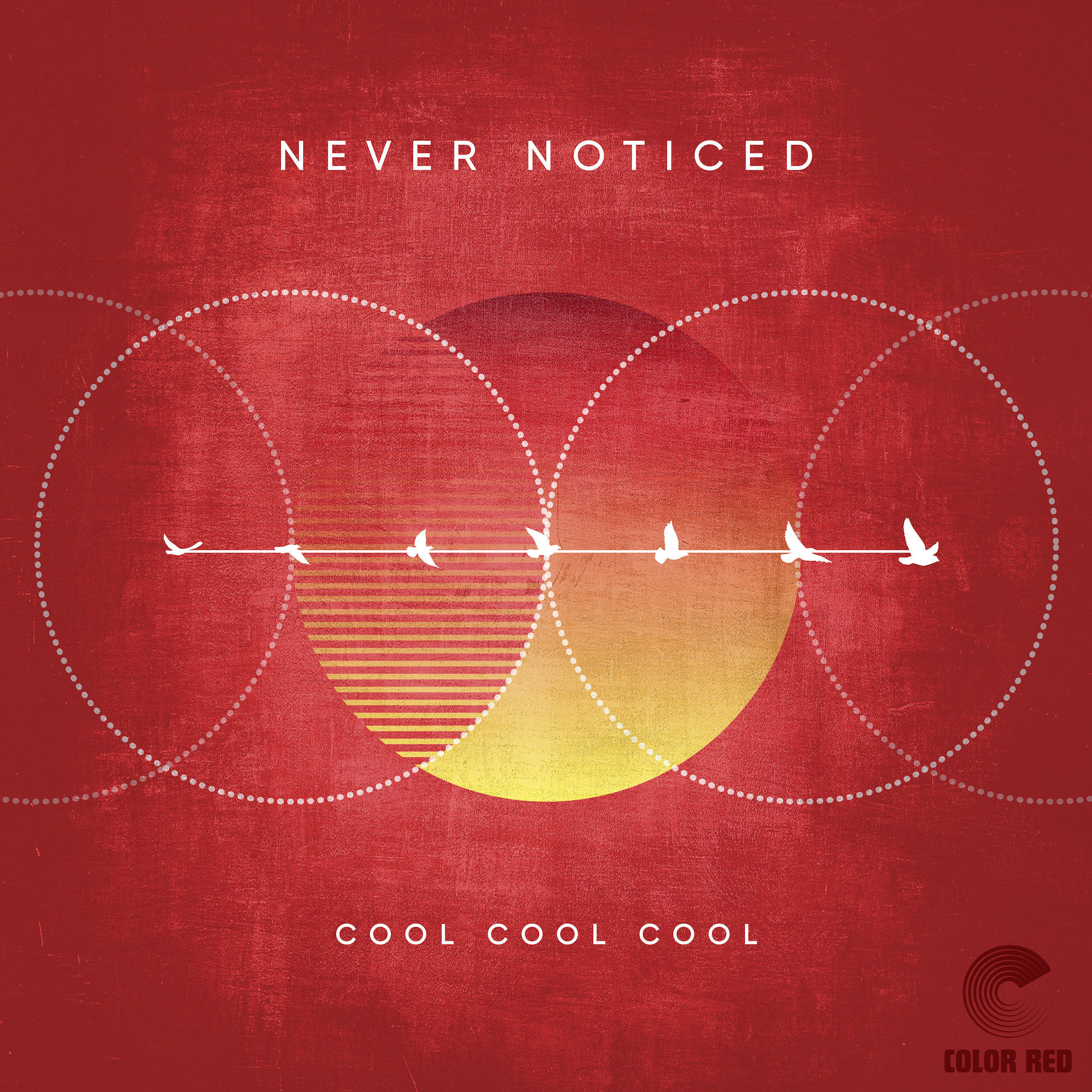 Groove Unleashed: Cool Cool Cool Drops Debut Single 'Never Noticed'