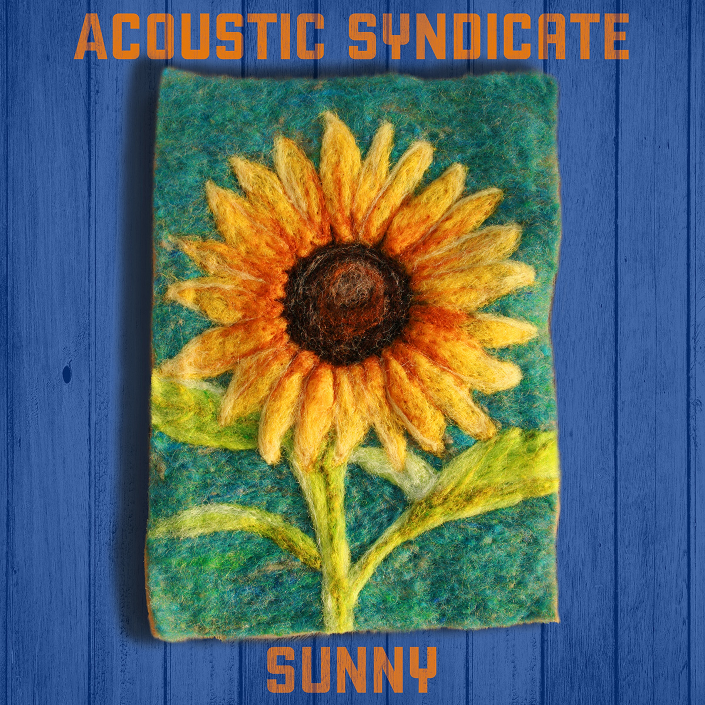 Acoustic Syndicate releases first recording in 7 years
