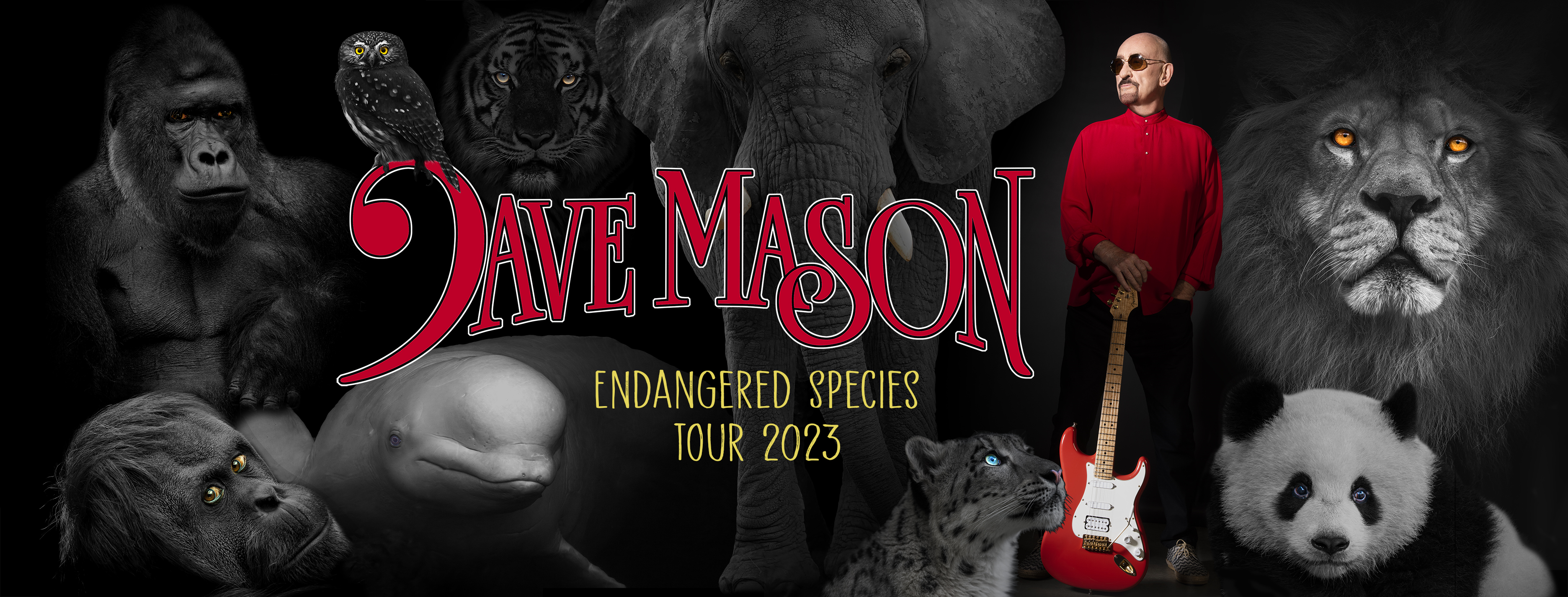 dave mason endangered species tour review