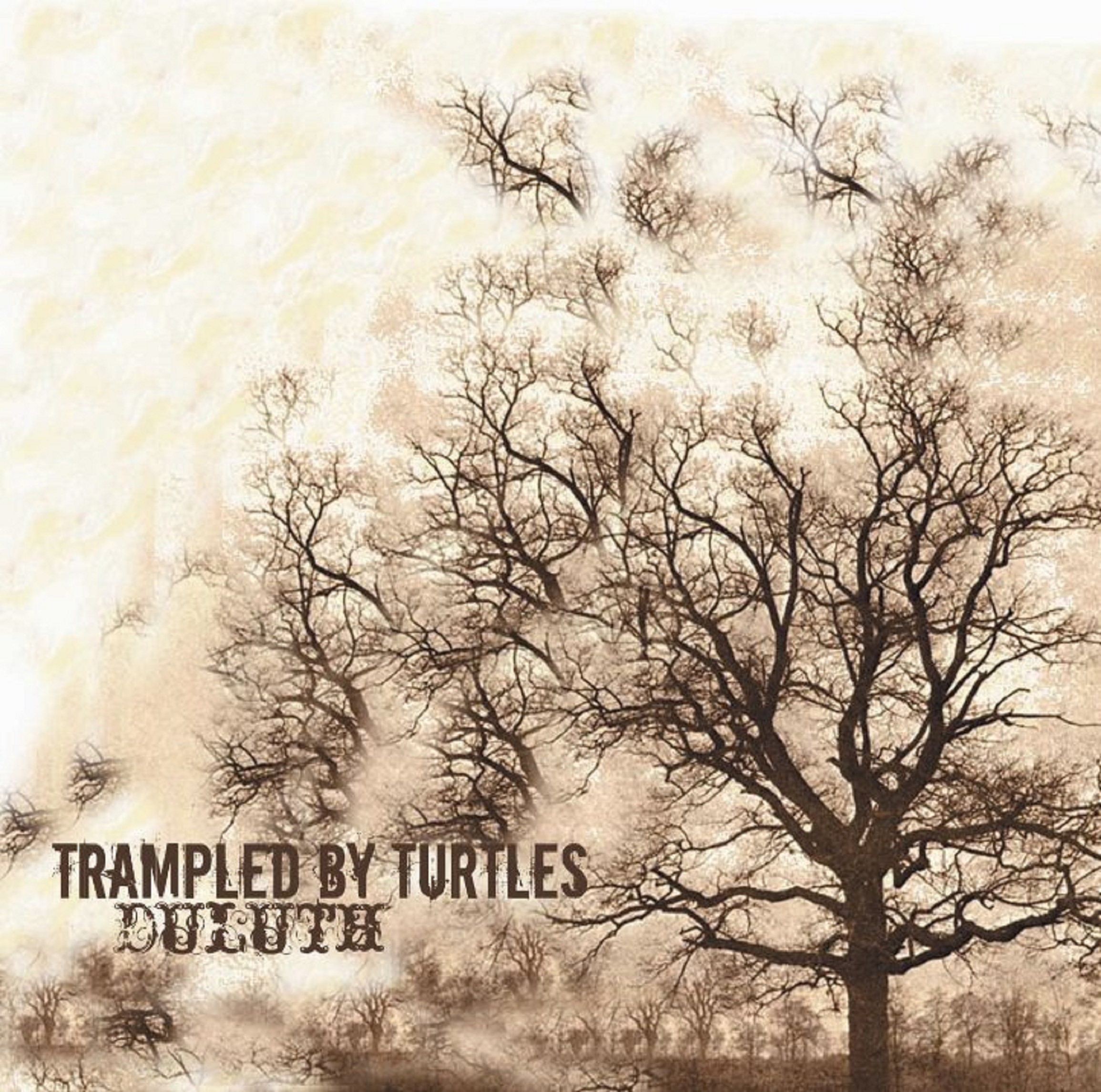 Trampled By Turtles | Duluth | Review