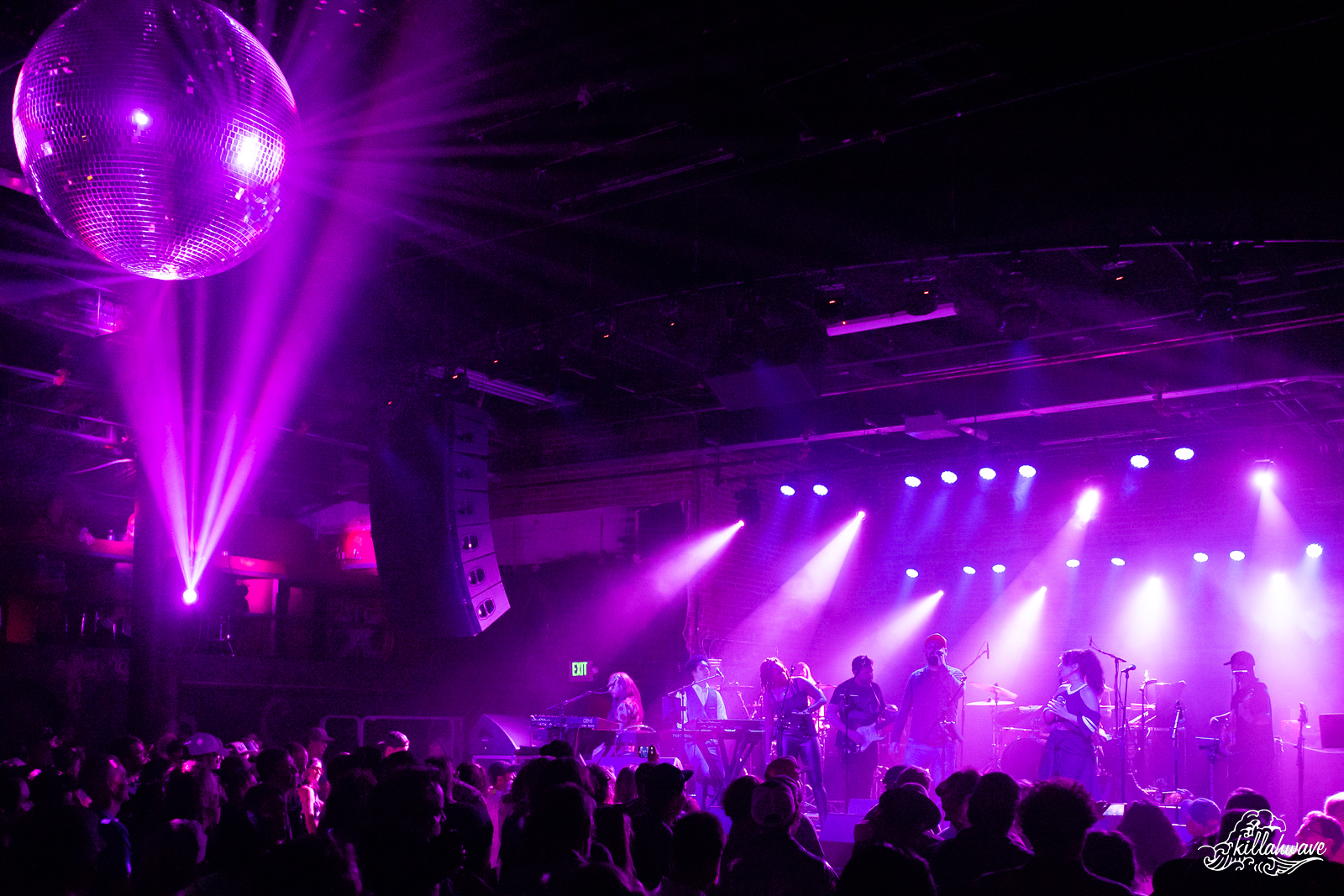 Purple Party: A Tribute To Prince and Dogs in a Pile | Denver, CO | September 2nd, 2022 | Photos by Killahwave/Jamie Huenefeld