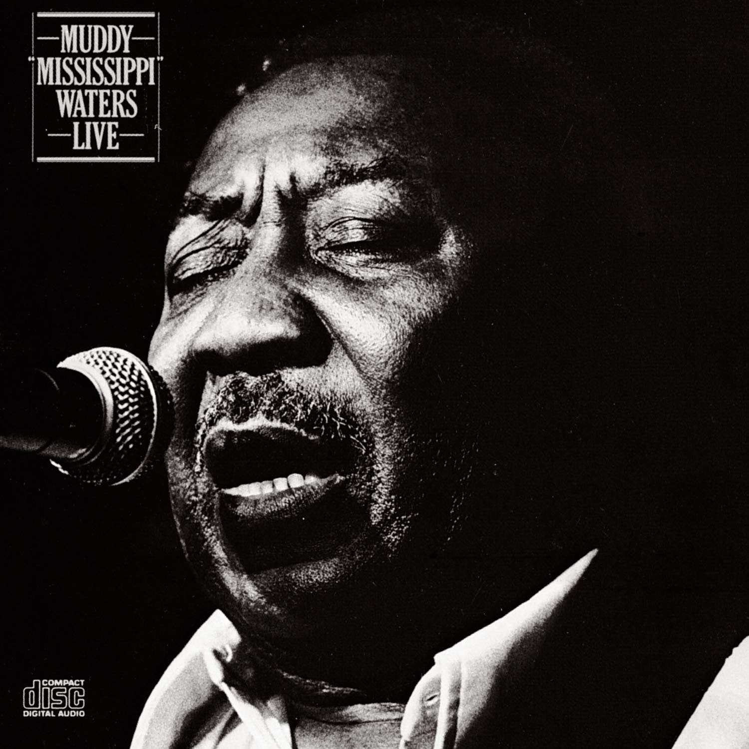 The Mighty Stream of Muddy Waters: Flowing Through the Heart of Rock