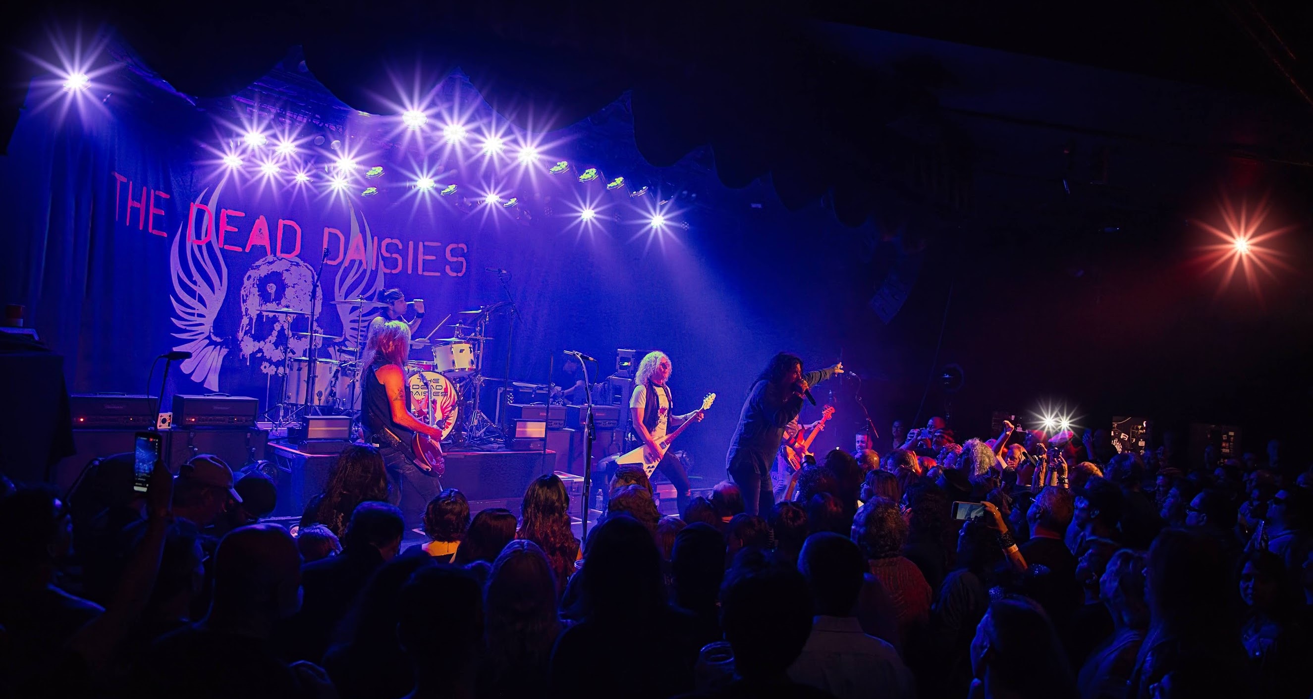 Decibels and Daisies: The Roxy's Rocking Rollercoaster Ride