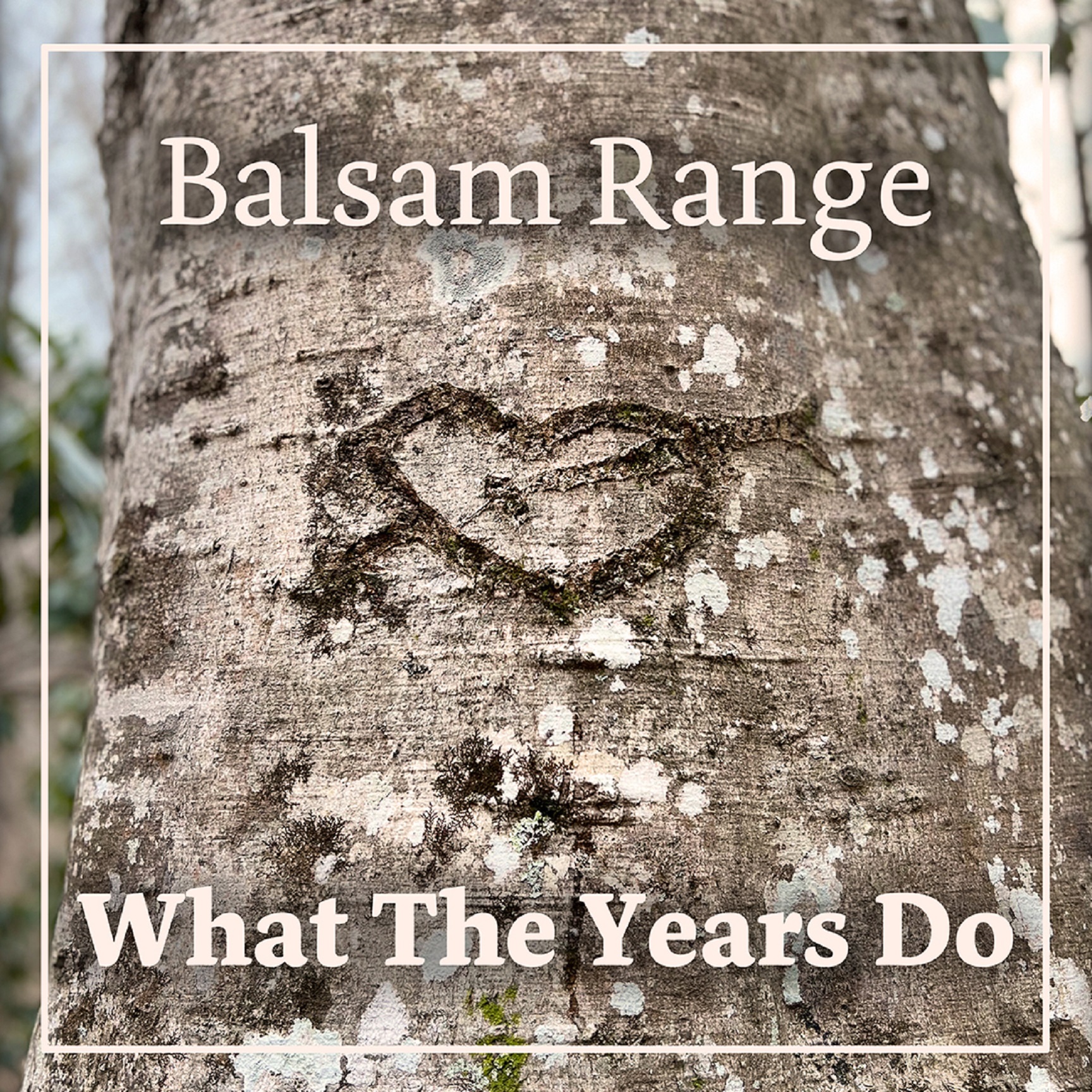 Balsam Range's "What The Years Do" tops monthly bluegrass chart