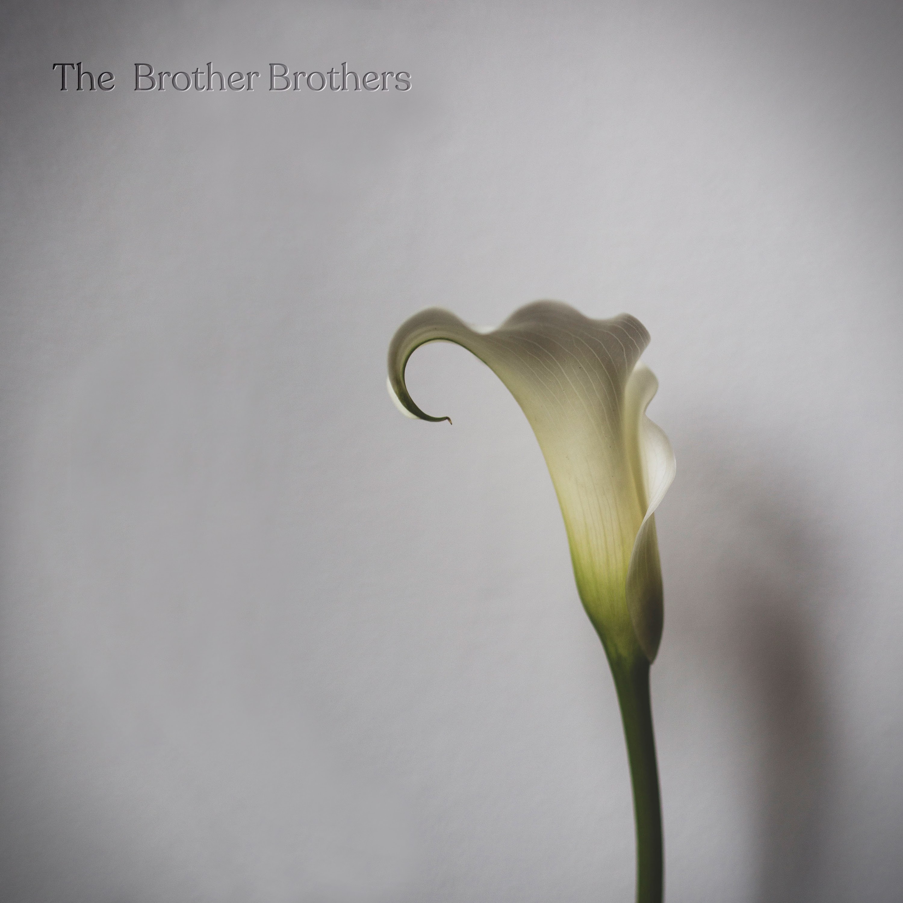 The Brother Brothers Share "Circles" Ahead Of Sophomore LP 'Calla Lily'