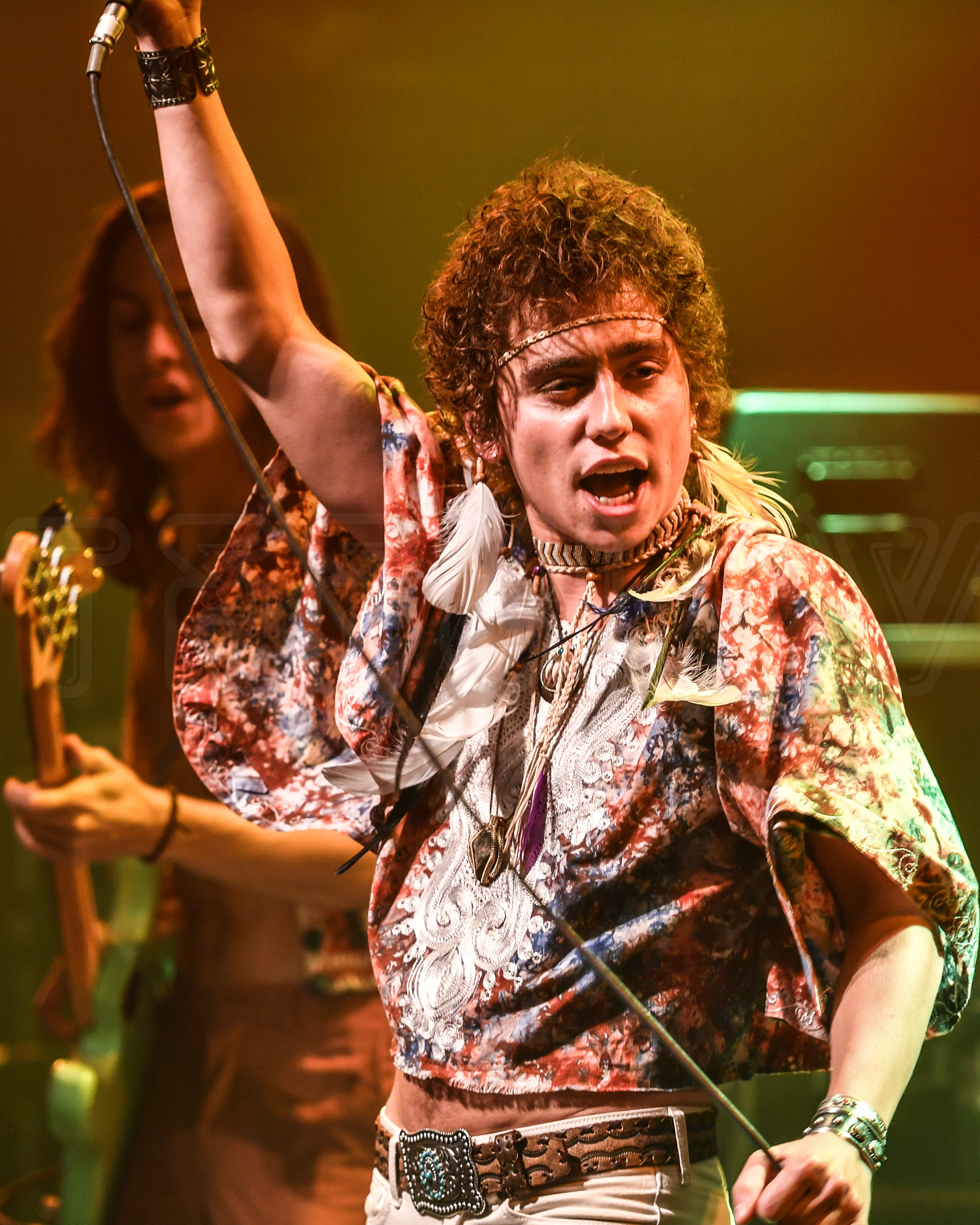 Greta Van Fleet Album Charts