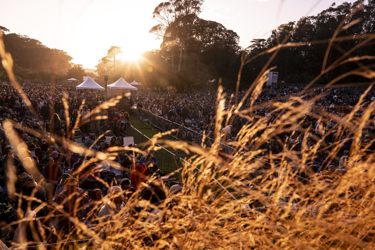Hardly Strictly Bluegrass Unveils First of 25th Anniversary Lineup