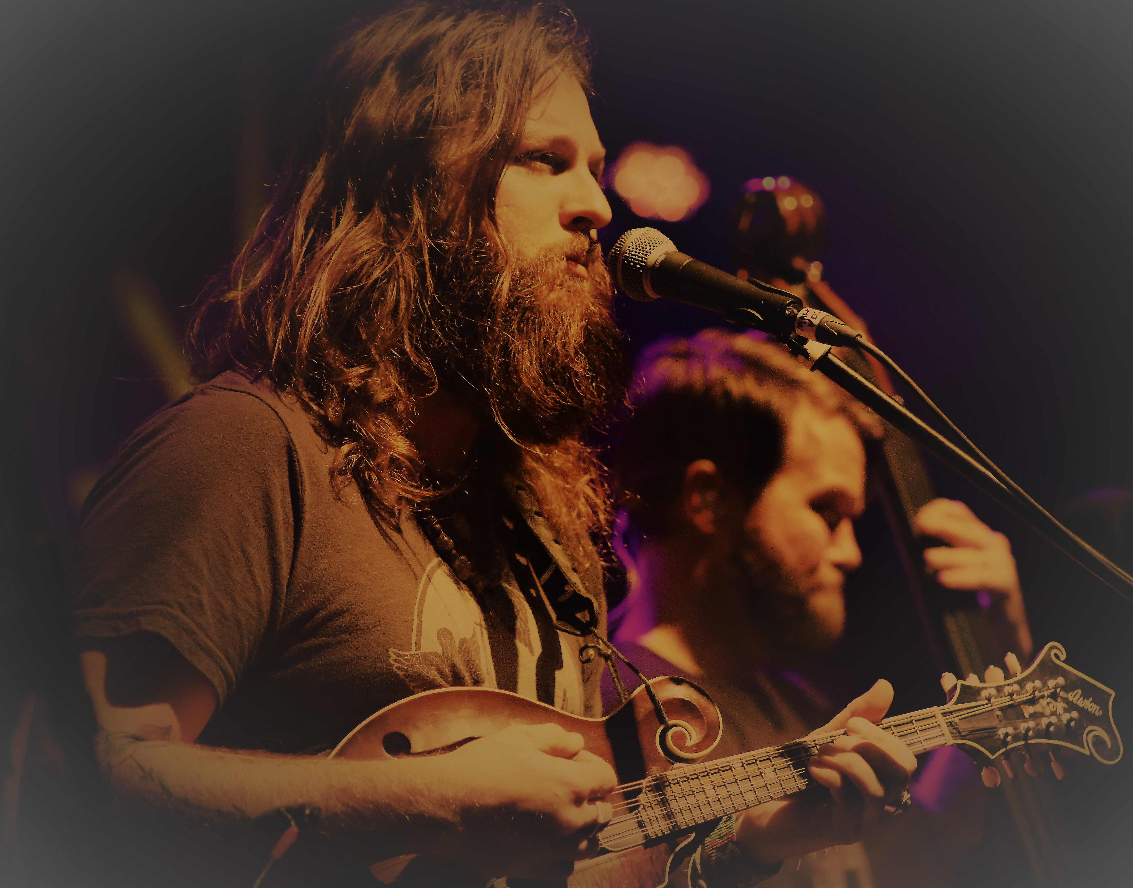 Greensky Bluegrass & Fruition | Review