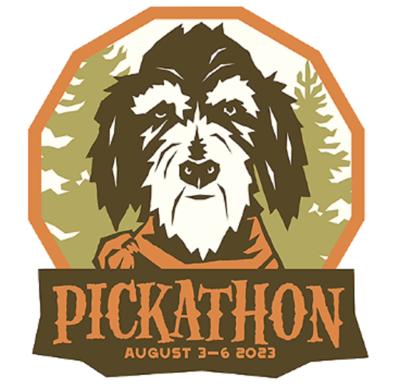Pickathon Announces 2023 Full Artist Lineup