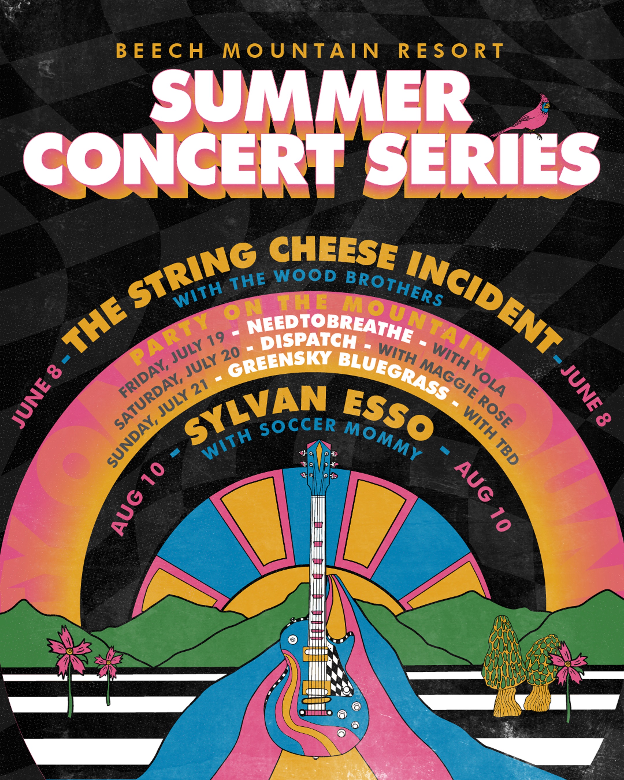 LINEUP ANNOUNCED FOR 2024 BEECH MOUNTAIN SUMMER CONCERT SERIES