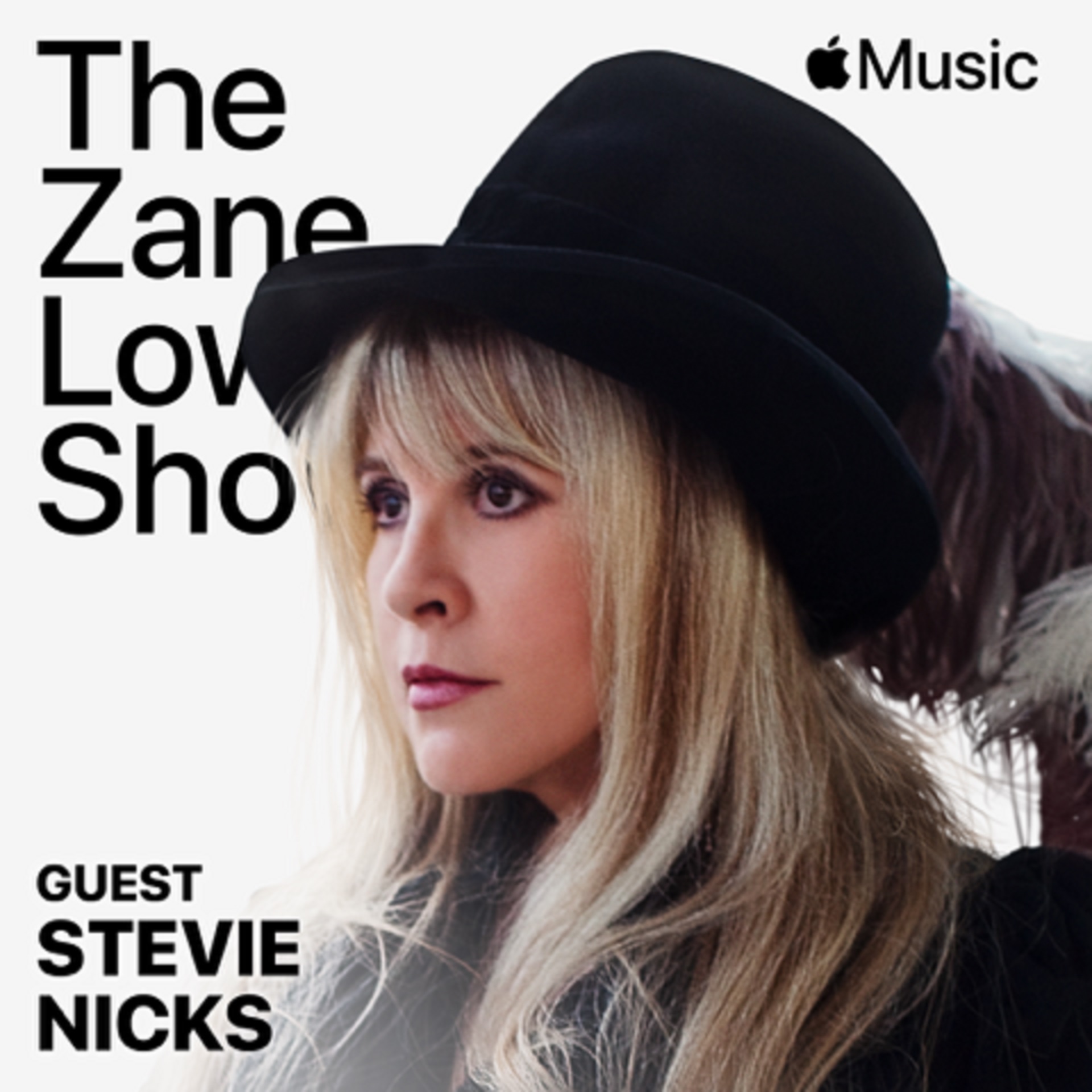 Stevie Nicks Tells Apple Music About Covering "For What It's Worth", Tour Life, Her Relationships with Prince, Tom Petty, Harry Styles, Miley Cyrus, and More