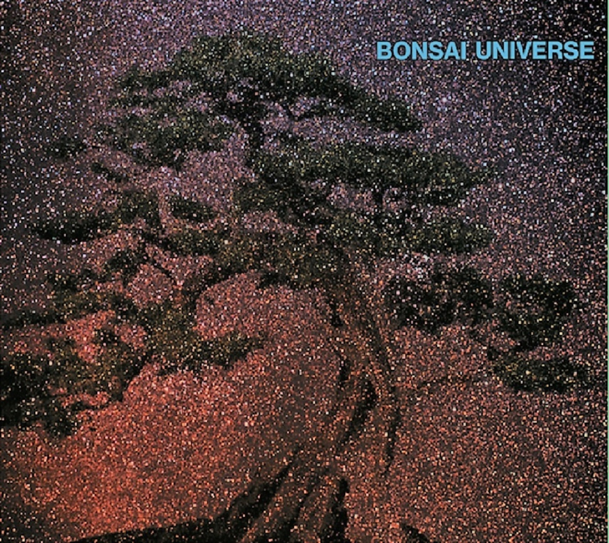 From Bobby Womack to Aloe Blacc--Now, Guitarist Woody Aplanalp’s new psychedelic electric venture--Bonsai Universe and ‘Moonstream’