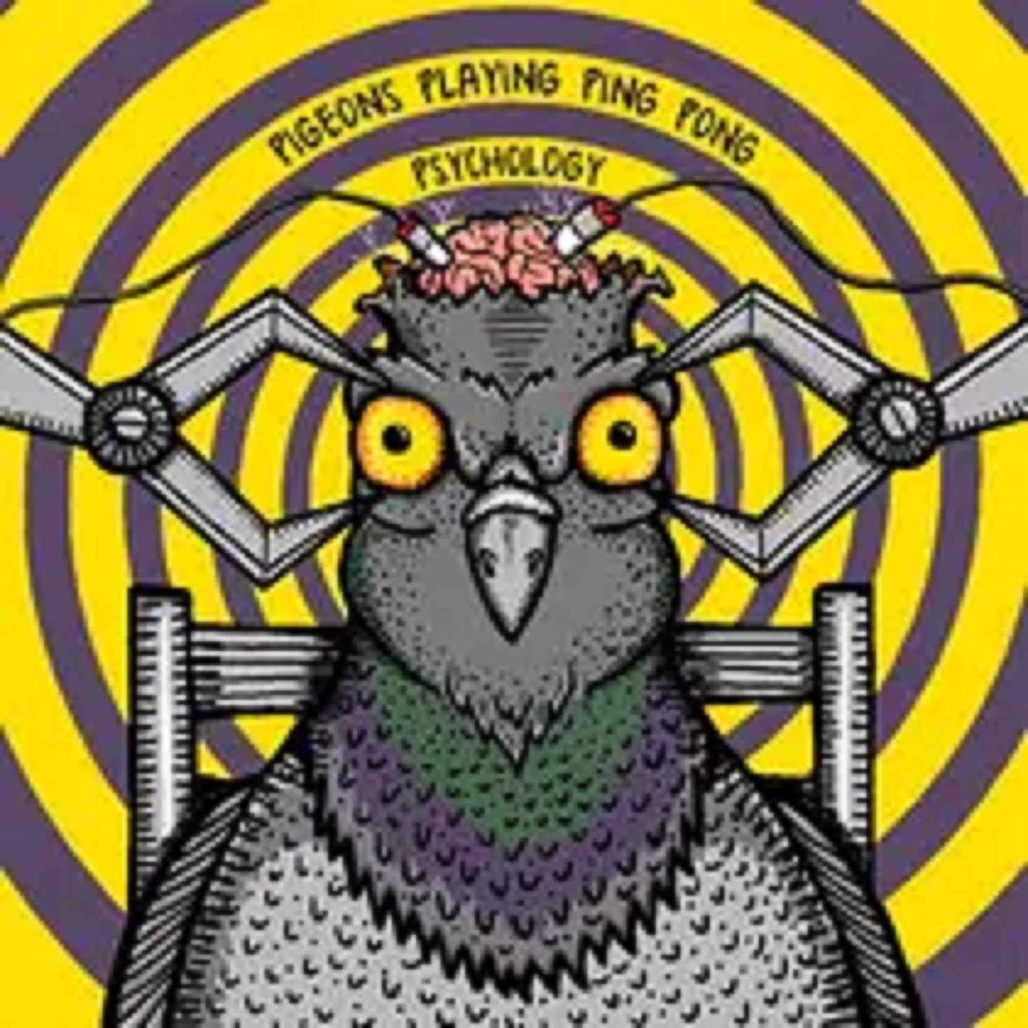 Pigeons Playing Ping Pong | Psychology | New Music Review
