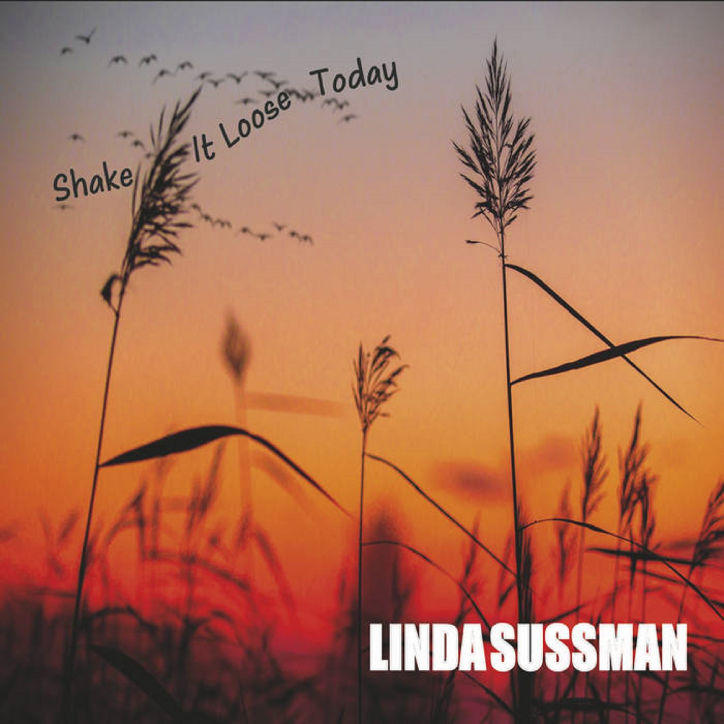 Linda Sussman Drops New Album ‘Shake It Loose Today’ 7/1