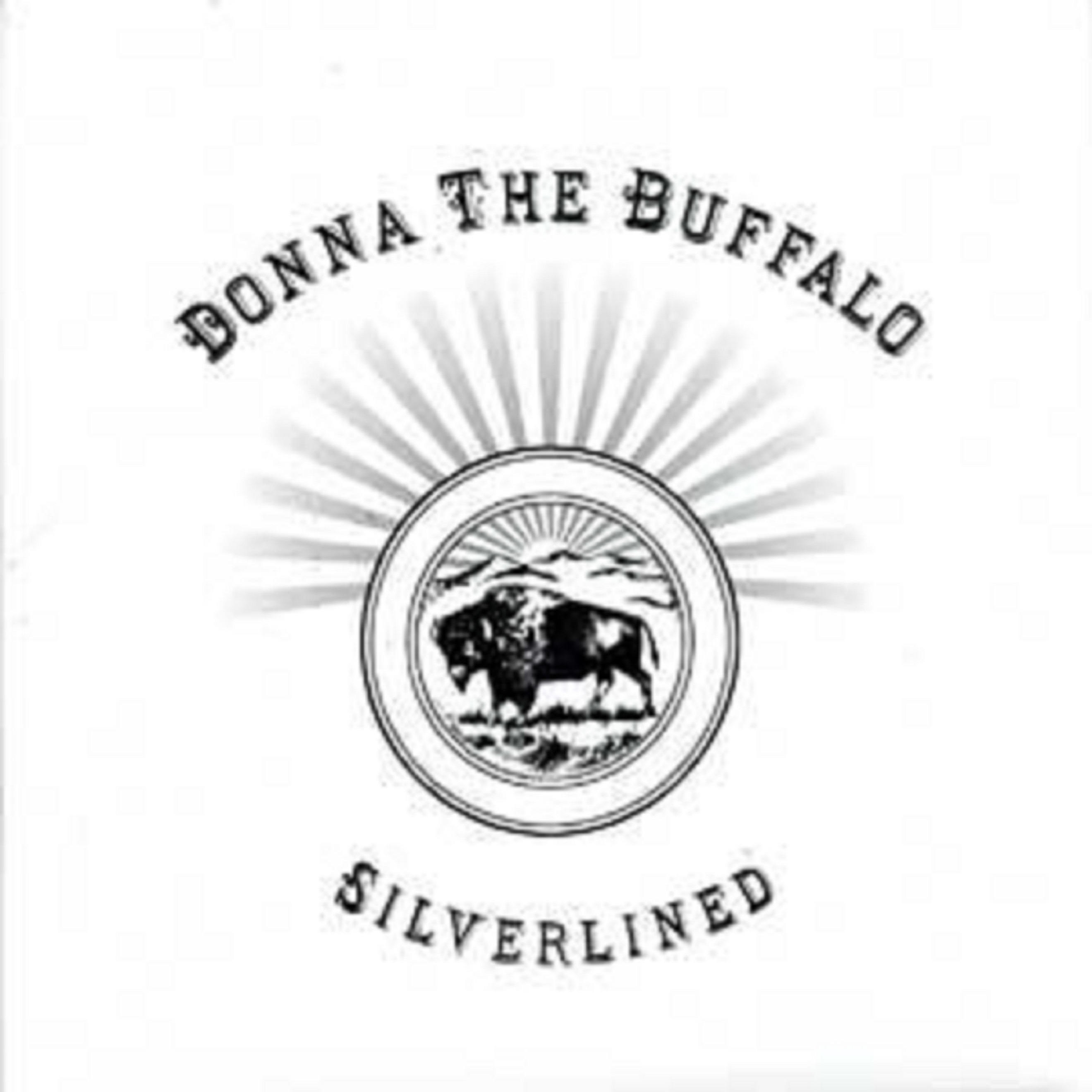 Donna the Buffalo Lines Silverlined with Country, Tinkers with Genres Across The Board