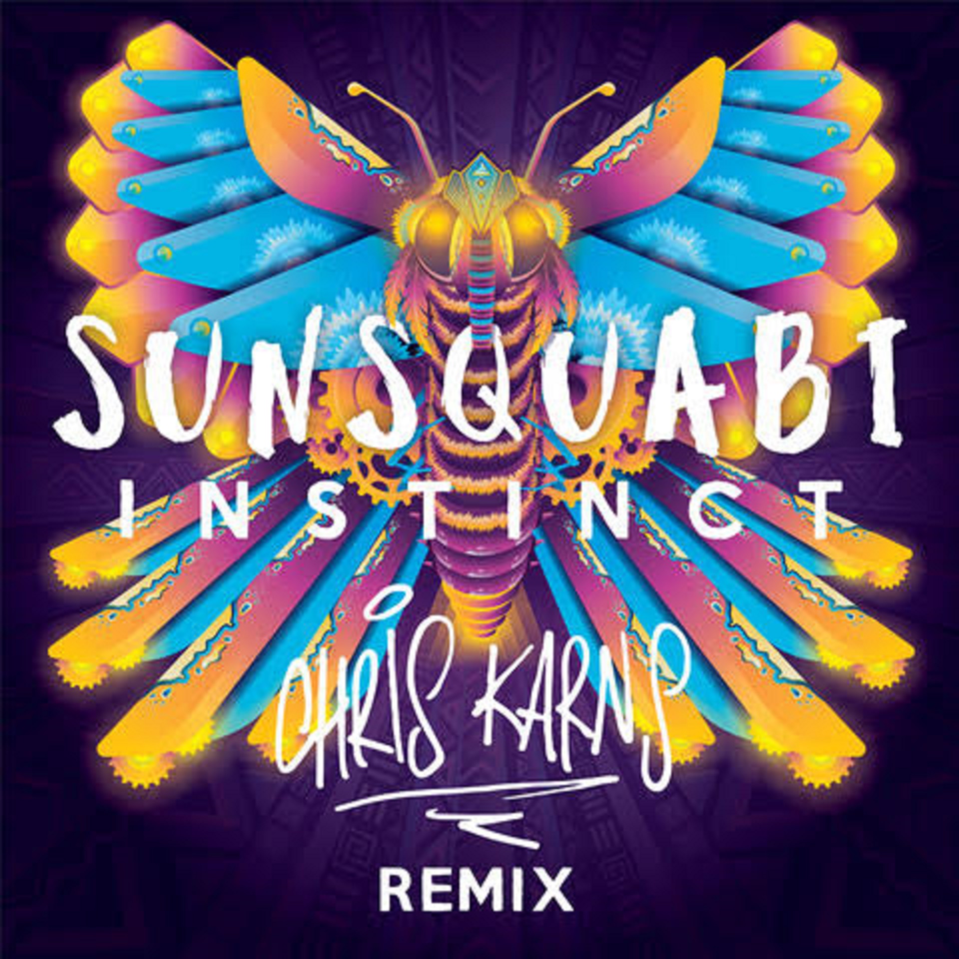 SunSquabi presents Instinct Remixed