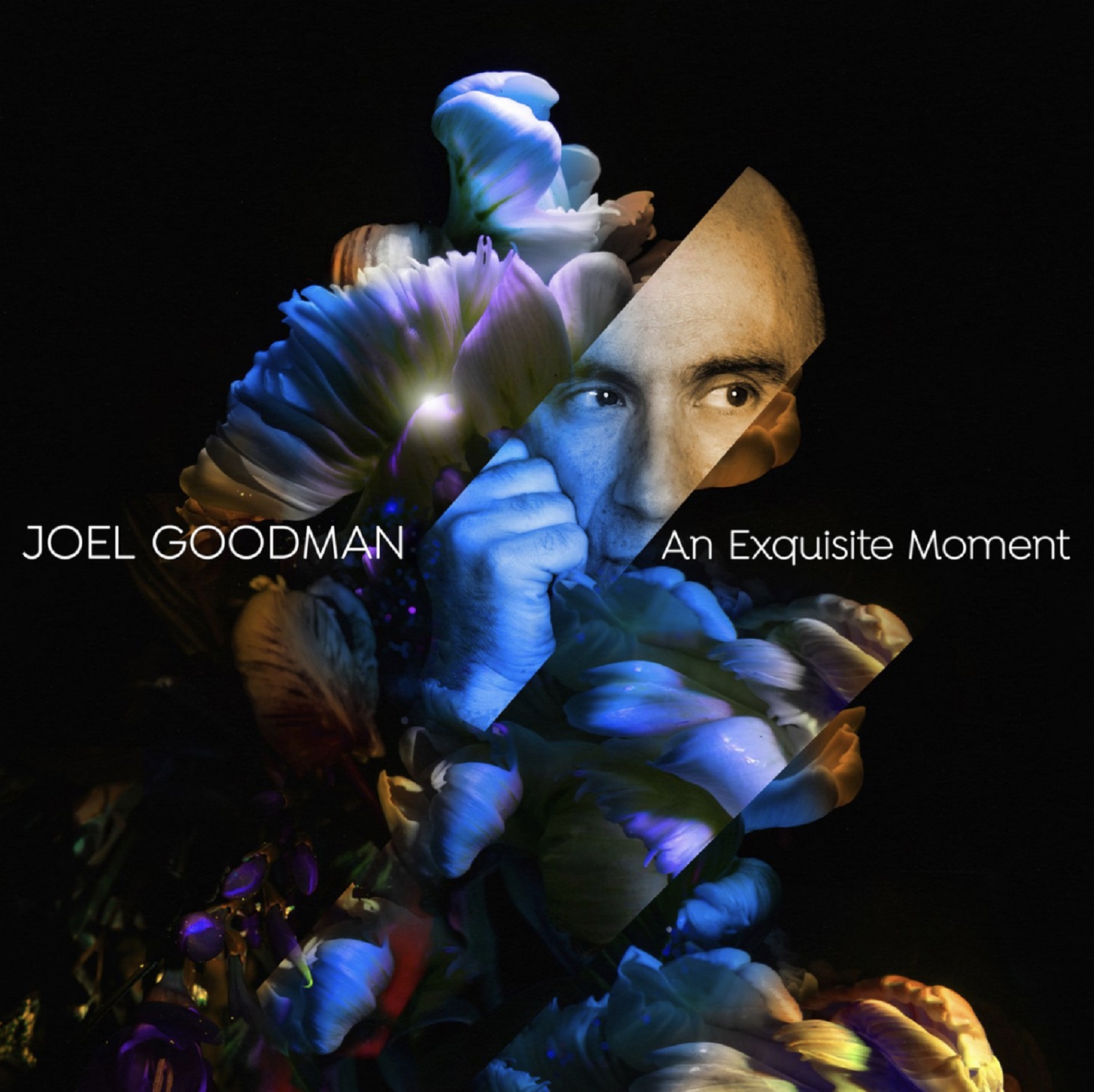 Composer/Multi-Instrumentalist Joel Goodman to release recording "An Exquisite Moment"
