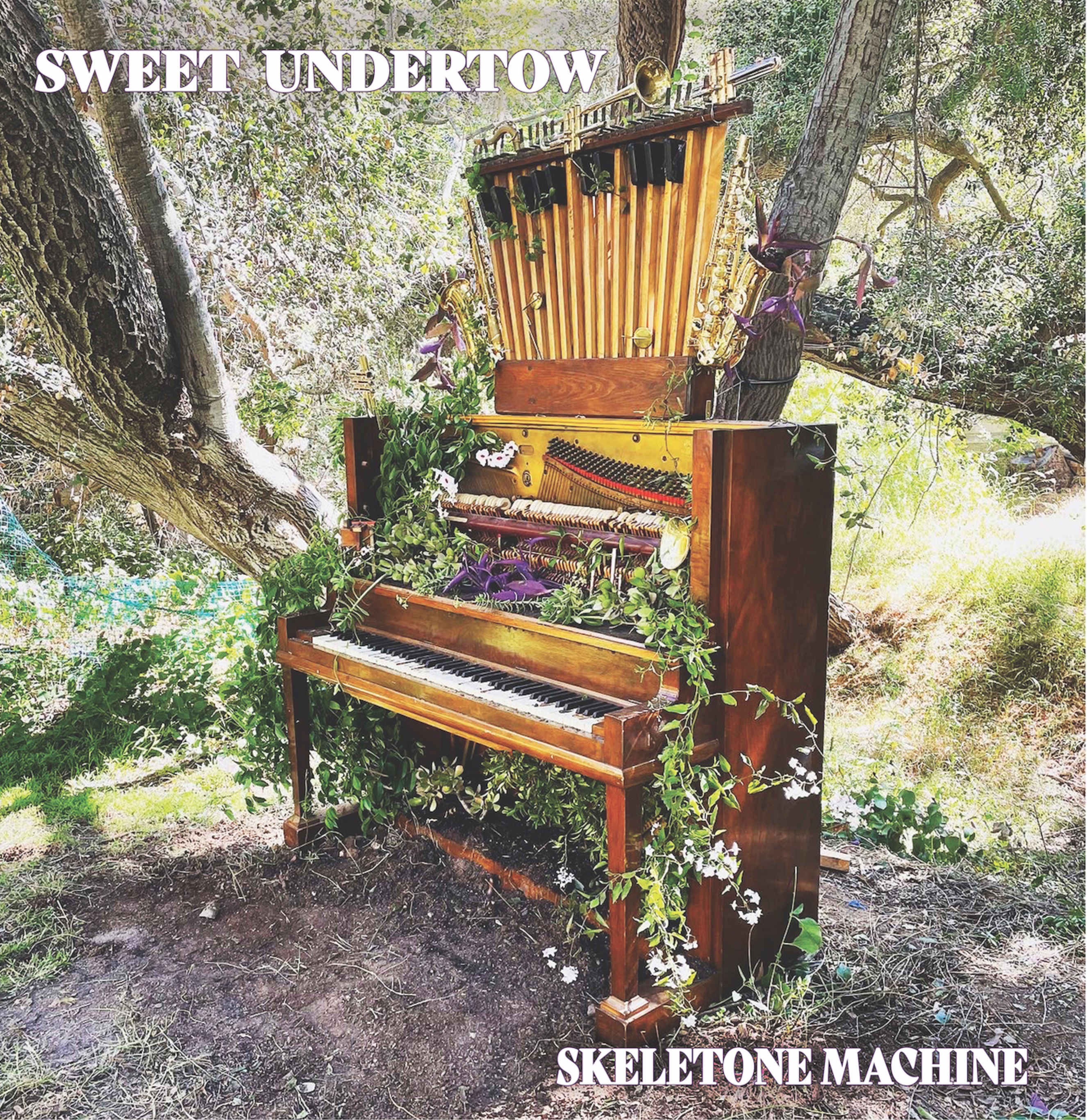 SF Blues Rockers Sweet Undertow Ready Release of 'Skeletone Machine'