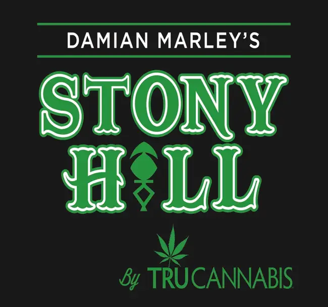 Damian Marley to Open 'Stony Hill'
