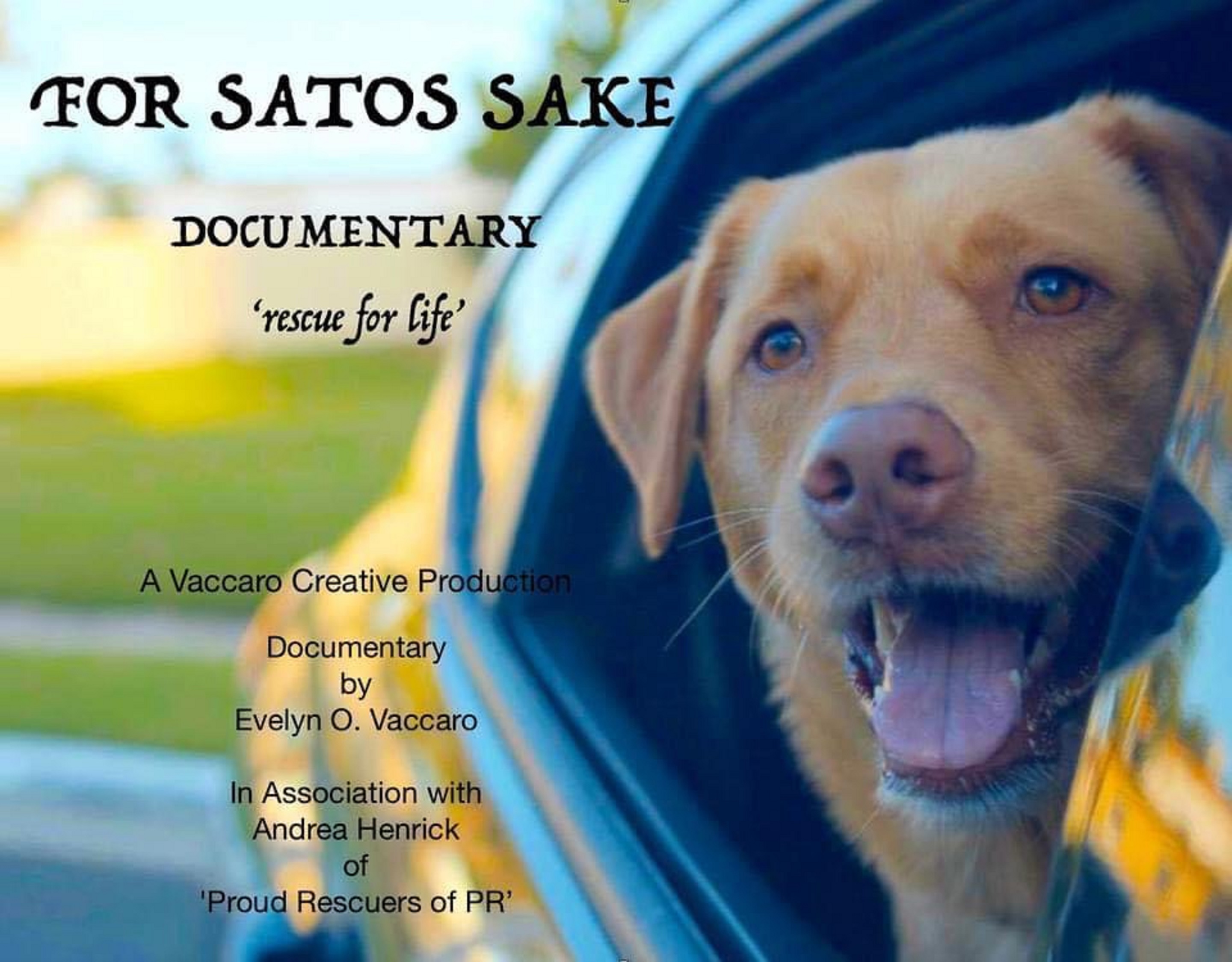 Rescue Dog Goodie Donation Drive at LIIFE Screening of “For Sato’s Sake”