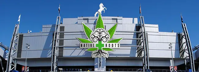 Native Roots Seeks Naming Rights @ Mile High Stadium